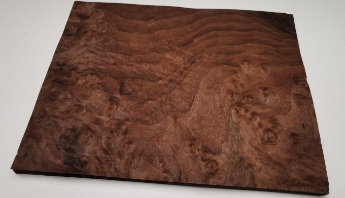 Loupe de Noyer 37 x 27 cm L133
