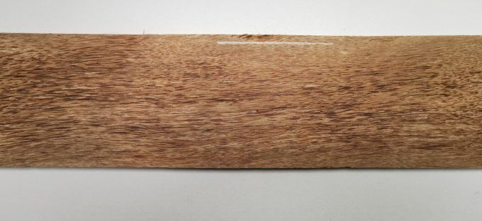 Palmier 74 x 11 cm L43
