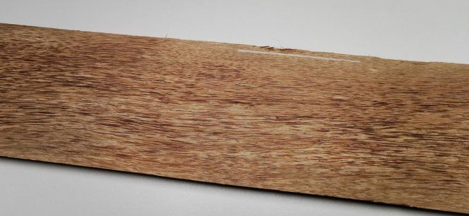 Palmier 74 x 11 cm L43