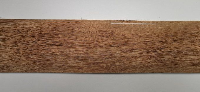 Palmier 74 x 11 cm L43