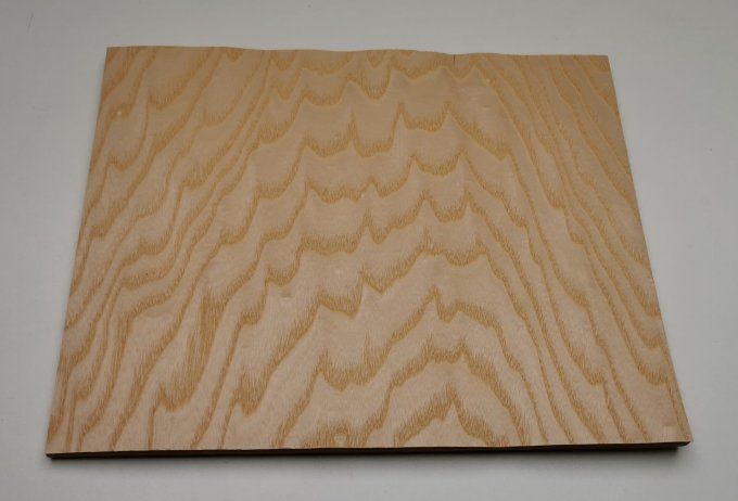 Frêne ramageux 35 x 26 cm L82