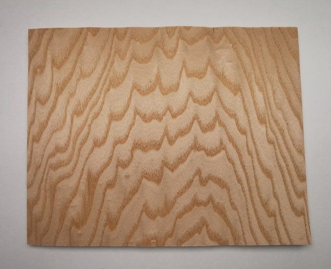 Frêne ramageux 35 x 26 cm L82