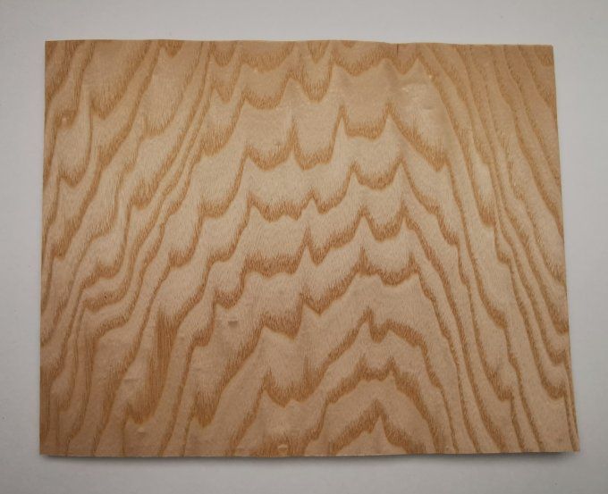 Frêne ramageux 35 x 26 cm L82