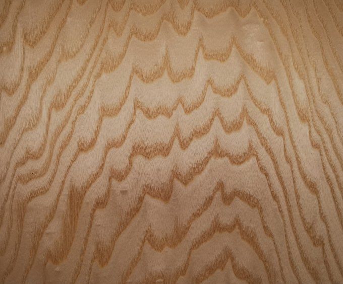 Frêne ramageux 35 x 26 cm L82