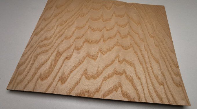 Frêne ramageux 35 x 26 cm L82