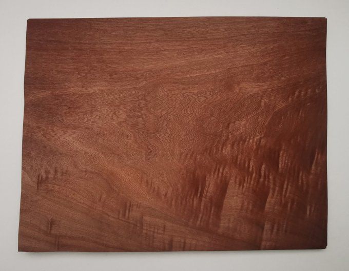 Acajou 41 x 31 cm L107