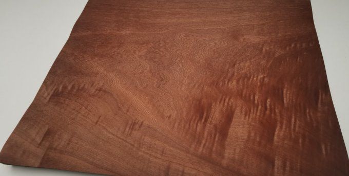 Acajou 41 x 31 cm L107
