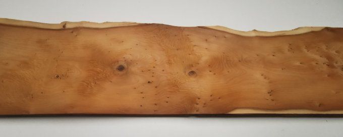 If  77 x 17 cm L91