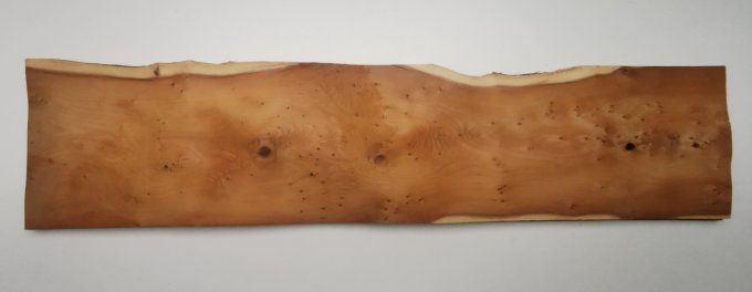 If  77 x 17 cm L91