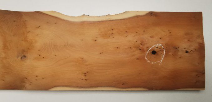 If  77 x 17 cm L91