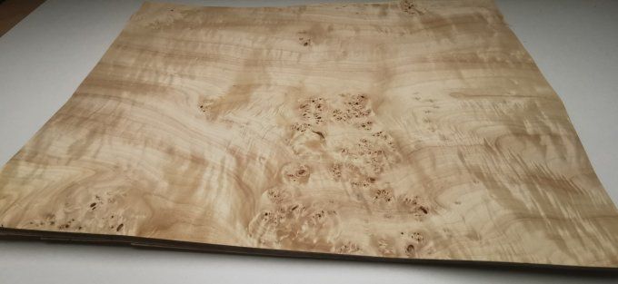 Peuplier 65 x 45 cm L356