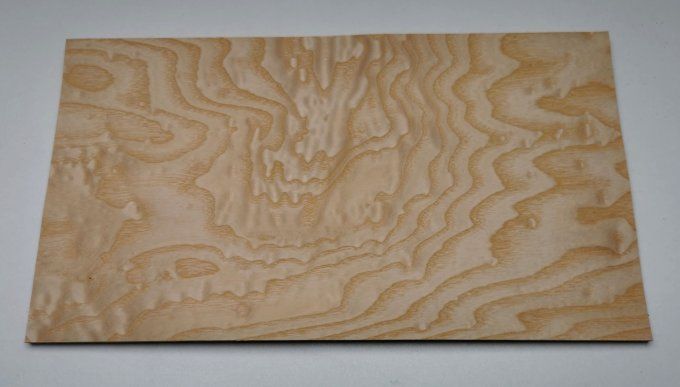 Lot 8x  Frêne pommelé 35 x 19 cm L94