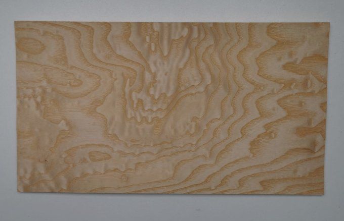 Lot 8x  Frêne pommelé 35 x 19 cm L94