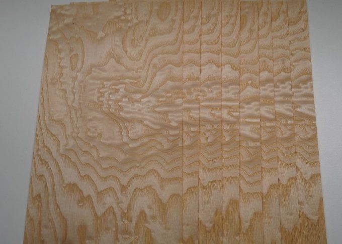 Lot 8x  Frêne pommelé 35 x 19 cm L94