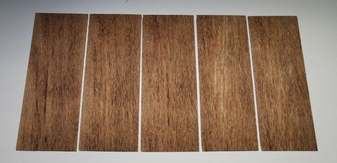 Lot 5x Palmier 30 x 12 cm L70