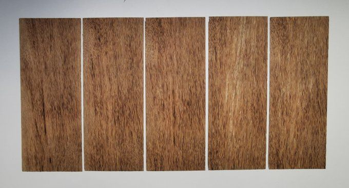 Lot 5x Palmier 30 x 12 cm L70