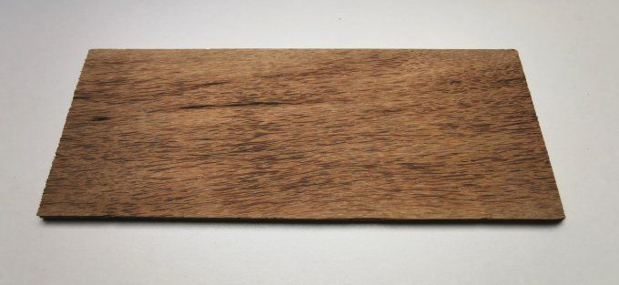 Lot 5x Palmier 30 x 12 cm L70