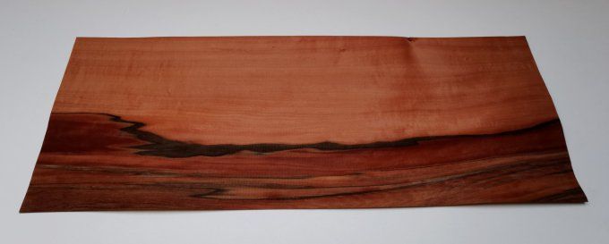 Tinéo 69 x 26 cm L230