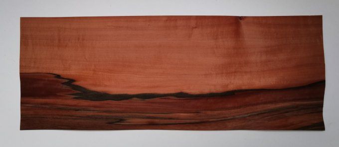 Tinéo 69 x 26 cm L230