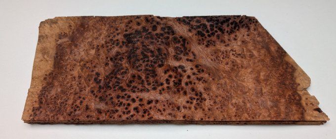 Loupe d'Amboine placages.fr