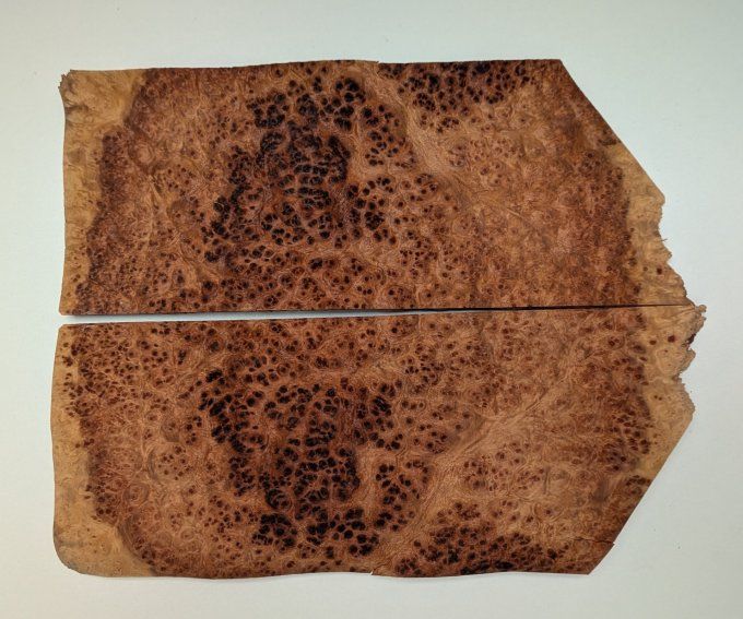 Loupe d'Amboine placages.fr