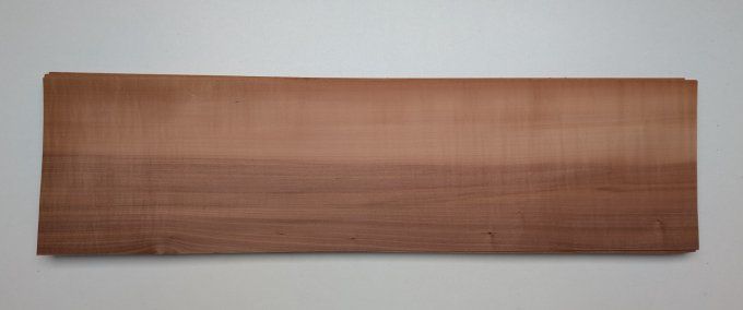 Pommier 55 x 15 cm L200