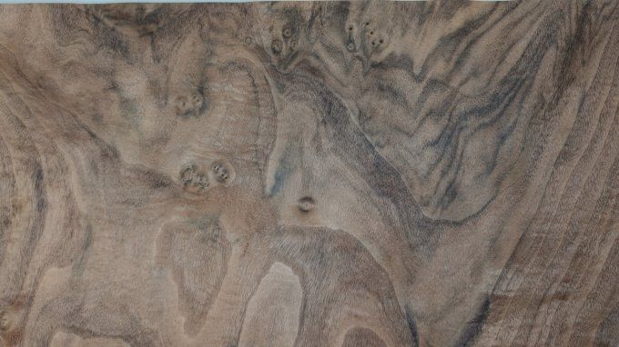 Loupe de noyer placages.fr