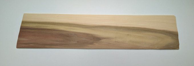 Tulipier de Virginie placages.fr