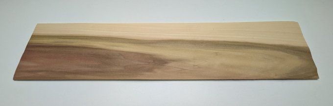 Tulipier de Virginie placages.fr