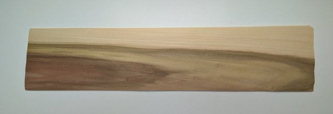 Tulipier de Virginie placages.fr