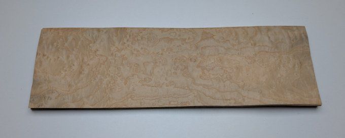 Loupe de Frêne placages.fr