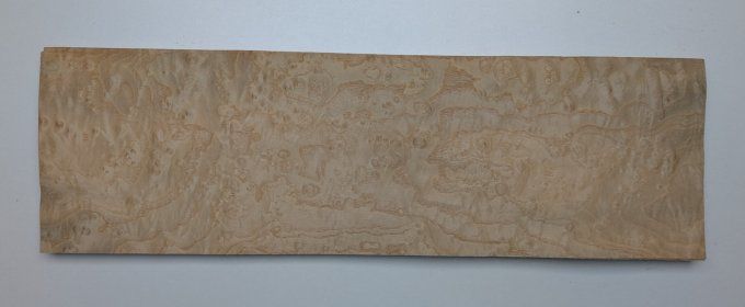 Loupe de Frêne placages.fr