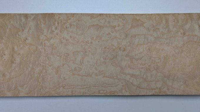 Loupe de Frêne placages.fr