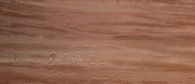 Platane maillé placages.fr