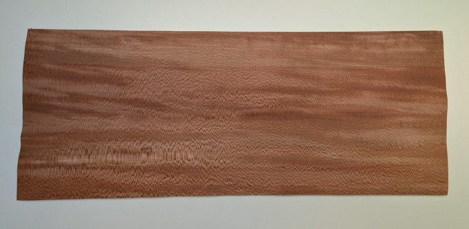 Platane maillé placages.fr