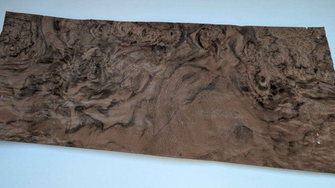 Loupe de Noyer placages.fr