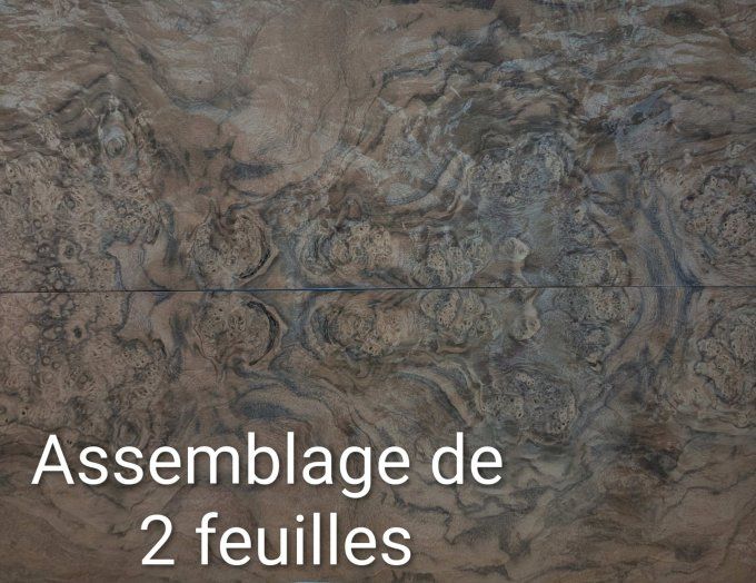 Loupe de Noyer placages.fr