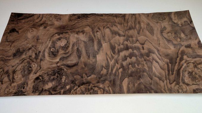 Loupe de Noyer placages.fr