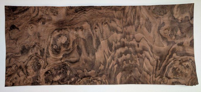 Loupe de Noyer placages.fr