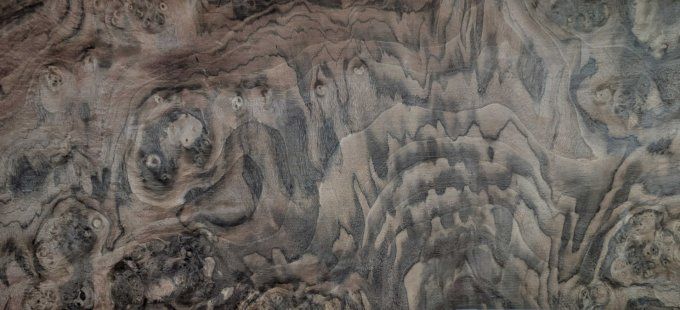 Loupe de Noyer placages.fr