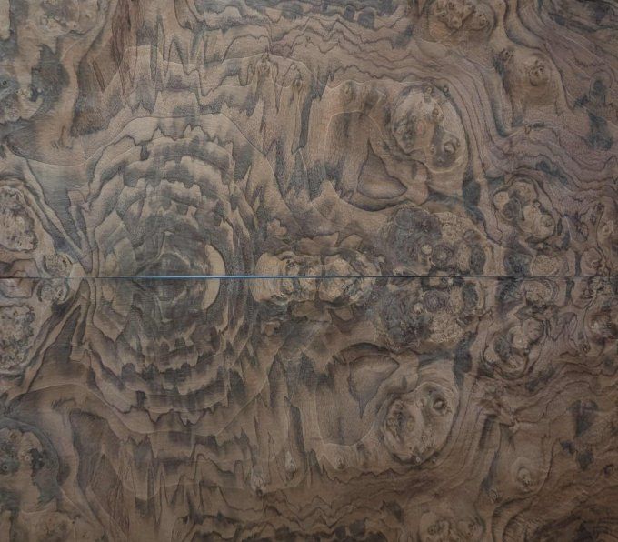 Loupe de Noyer placages.fr