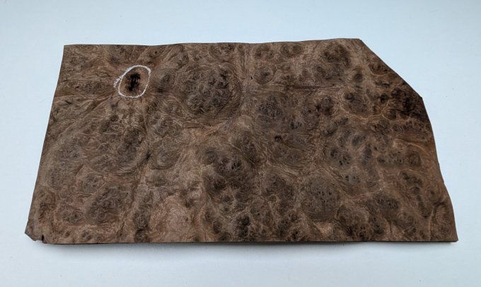 Loupe de Noyer placages.fr