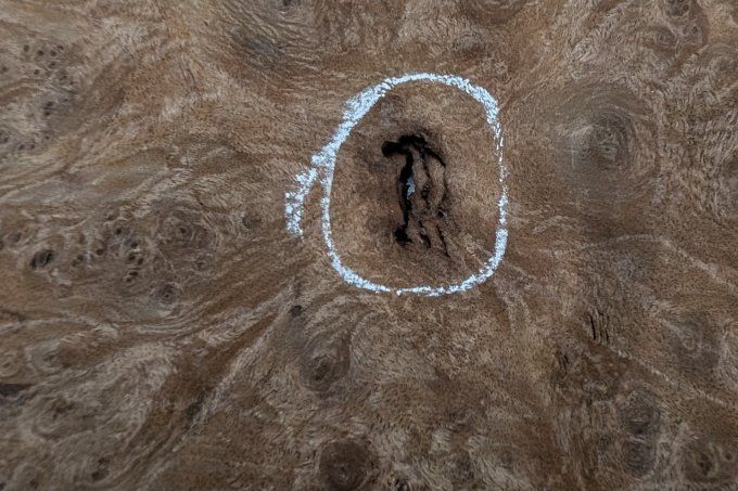 Loupe de Noyer placages.fr