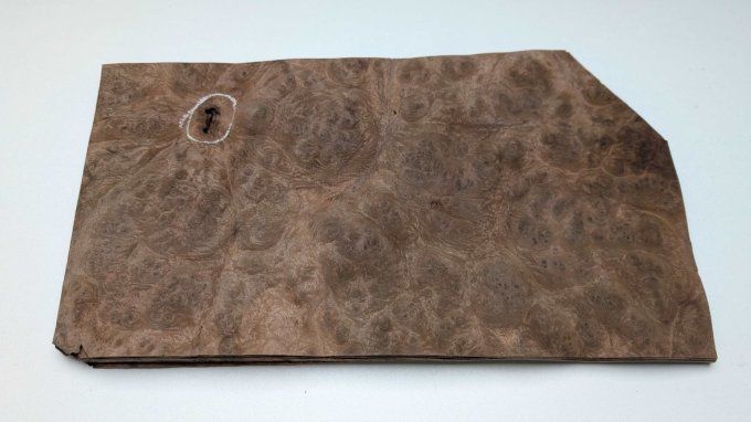 Loupe de Noyer placages.fr