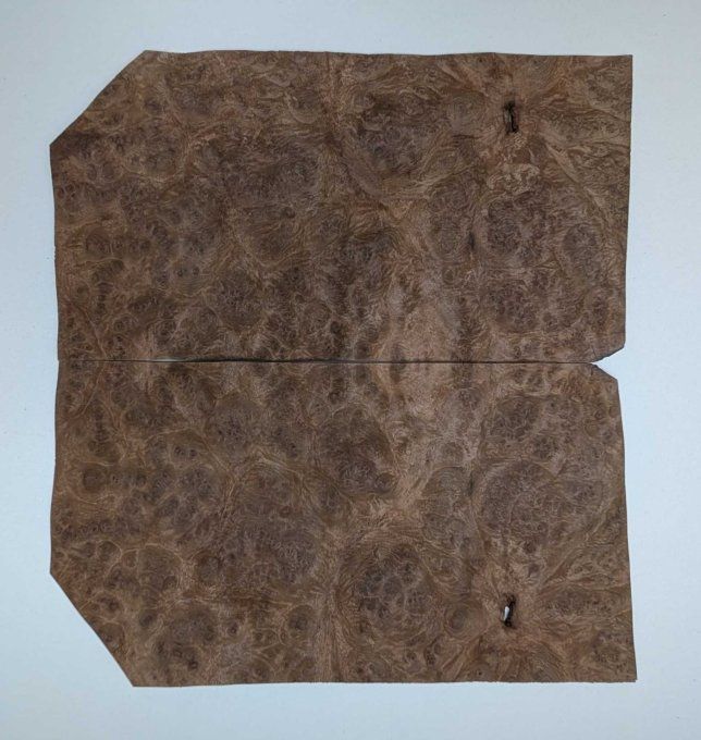 Loupe de Noyer placages.fr