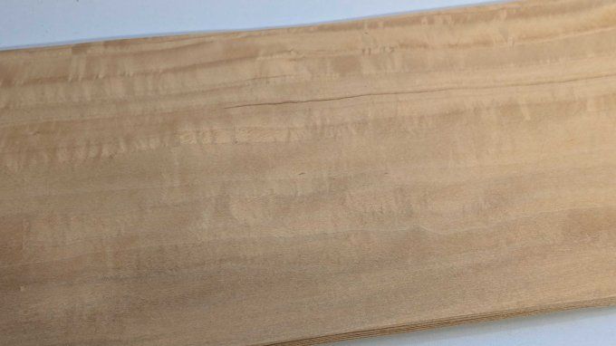 Citronnier de Ceylan placages.fr