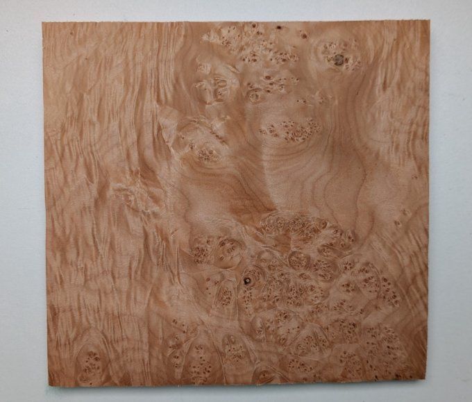 Loupe d'Erable placages.fr