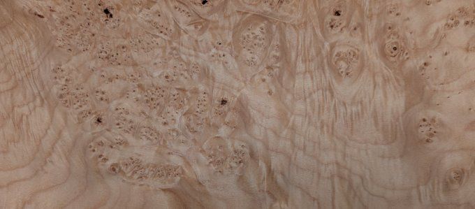 Loupe d'Erable placages.fr