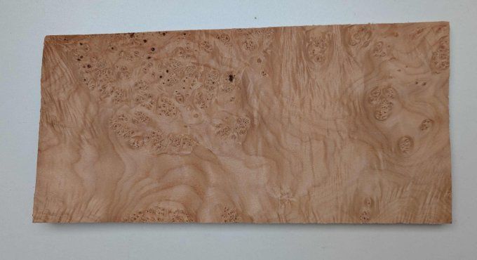 Loupe d'Erable placages.fr