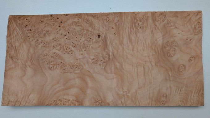 Loupe d'Erable placages.fr